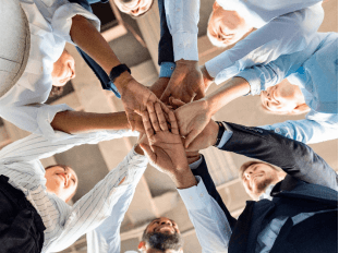 A ServiHaus irá organizar sua Holding e seu patrimônio.